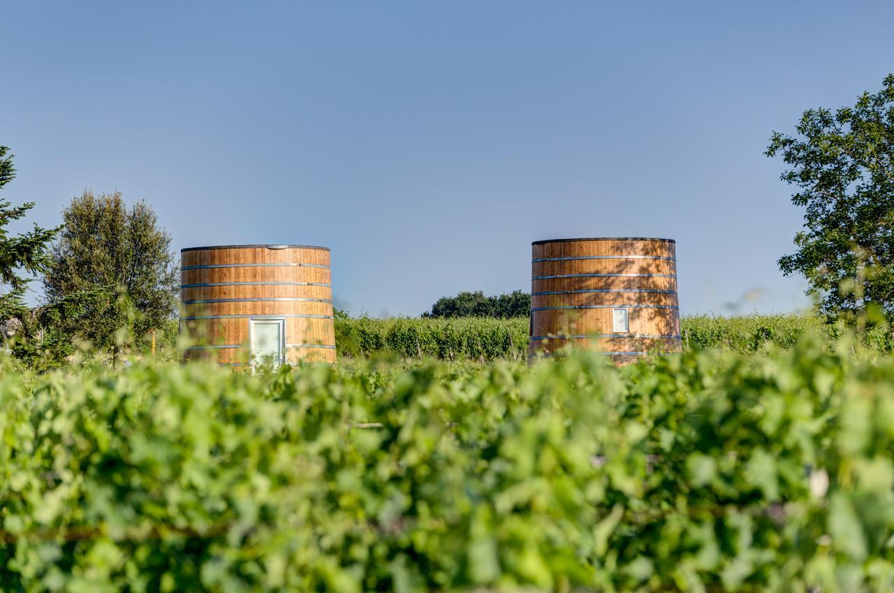 Coup 2 Foudres Panzió Saint-Jean-de-Blaignac Kültér fotó